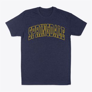 Springdale Pennsylvania Trendy Block Classic Dad T-Shirt