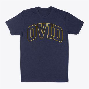 Ovid New York Trendy Block Classic Dad T-Shirt