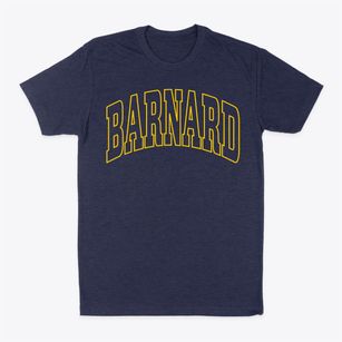 Barnard Missouri Trendy Block Classic Dad T-Shirt