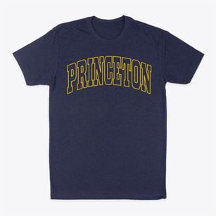 Princeton Illinois Trendy Block Classic Dad T-Shirt