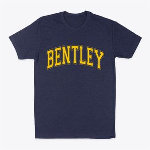 Bentley Iowa Varsity Classic Dad T-Shirt
