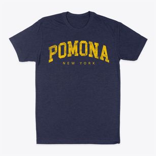 Pomona New York Urban Vibe Classic Dad T-Shirt