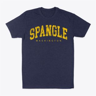 Spangle Washington Urban Vibe Classic Dad T-Shirt