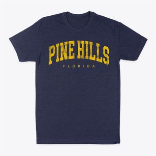 Pine Hills Florida Urban Vibe Classic Dad T-Shirt