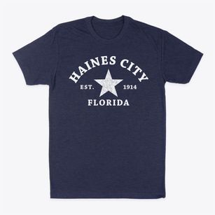 Haines City Florida Star Classic Dad T-Shirt