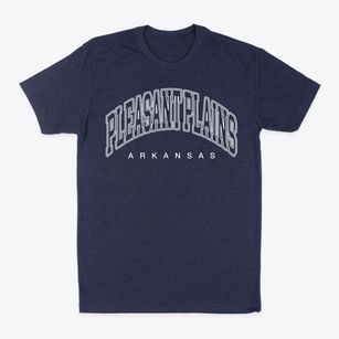 Pleasant Plains Arkansas Inline Classic Dad T-Shirt