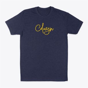 Colwyn Pennsylvania Freestyle Classic Dad T-Shirt