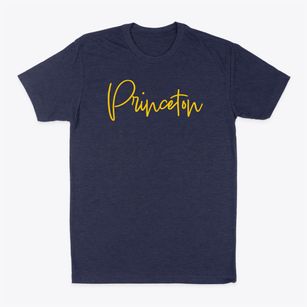 Princeton Indiana Freestyle Classic Dad T-Shirt