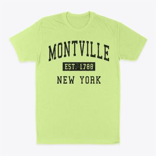 Montville New York Classic Established Classic Dad T-Shirt