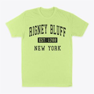 Rigney Bluff New York Classic Established Classic Dad T-Shirt
