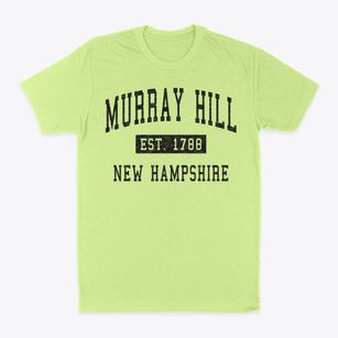 Murray Hill New Hampshire Classic Established Classic Dad T-Shirt