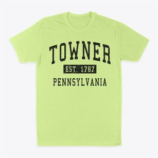 Towner Pennsylvania Classic Established Classic Dad T-Shirt