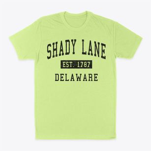 Shady Lane Delaware Classic Established Classic Dad T-Shirt