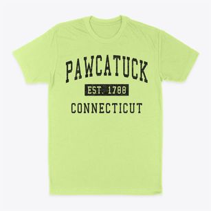 Pawcatuck Connecticut Classic Established Classic Dad T-Shirt