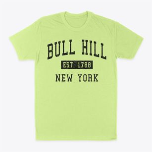 Bull Hill New York Classic Established Classic Dad T-Shirt