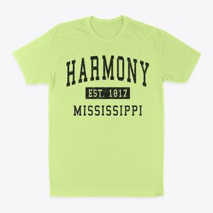 Harmony Mississippi Classic Established Classic Dad T-Shirt