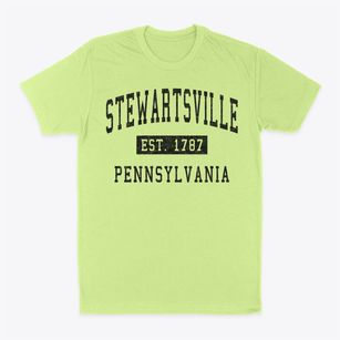 Stewartsville Pennsylvania Classic Established Classic Dad T-Shirt