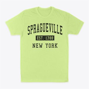 Spragueville New York Classic Established Classic Dad T-Shirt