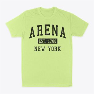 Arena New York Classic Established Classic Dad T-Shirt