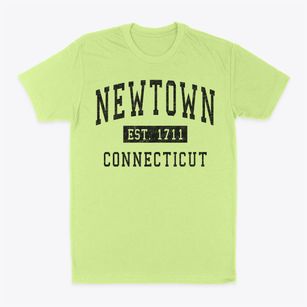 Newtown Connecticut Classic Established Classic Dad T-Shirt