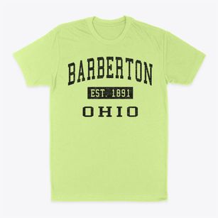 Barberton Ohio Classic Established Classic Dad T-Shirt