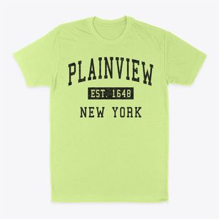 Plainview New York Classic Established Classic Dad T-Shirt