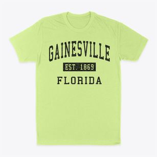 Gainesville Florida Classic Established Classic Dad T-Shirt