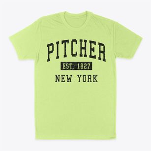 Pitcher New York Classic Established Classic Dad T-Shirt