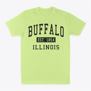 Buffalo Illinois Classic Established Classic Dad T-Shirt