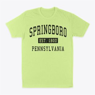 Springboro Pennsylvania Classic Established Classic Dad T-Shirt