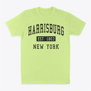 Harrisburg New York Classic Established Classic Dad T-Shirt