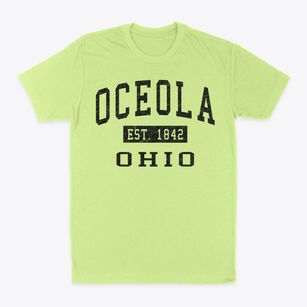 Oceola Ohio Classic Established Classic Dad T-Shirt