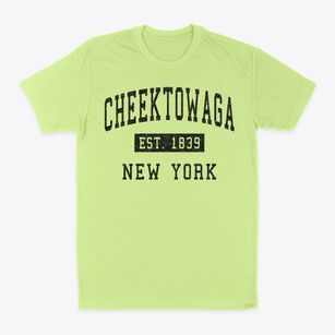 Cheektowaga New York Classic Established Classic Dad T-Shirt