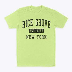 Rice Grove New York Classic Established Classic Dad T-Shirt