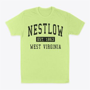 Nestlow West Virginia Classic Established Classic Dad T-Shirt