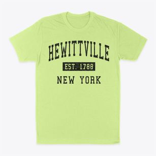 Hewittville New York Classic Established Classic Dad T-Shirt