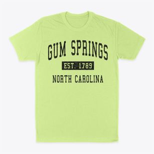 Gum Springs North Carolina Classic Established Classic Dad T-Shirt