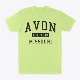 Avon Missouri Classic Established Classic Dad T-Shirt