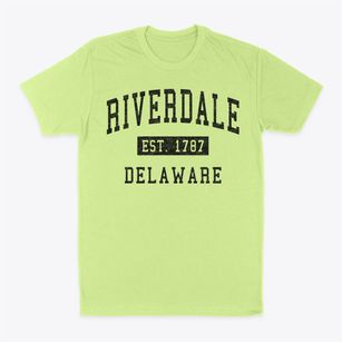 Riverdale Delaware Classic Established Classic Dad T-Shirt