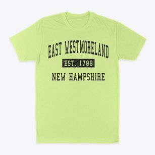 East Westmoreland New Hampshire Classic Established Classic Dad T-Shirt