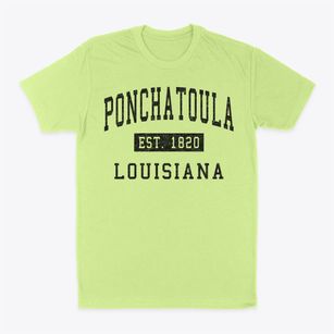 Ponchatoula Louisiana Classic Established Classic Dad T-Shirt