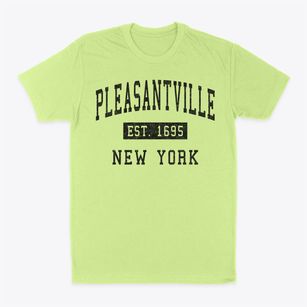 Pleasantville New York Classic Established Classic Dad T-Shirt