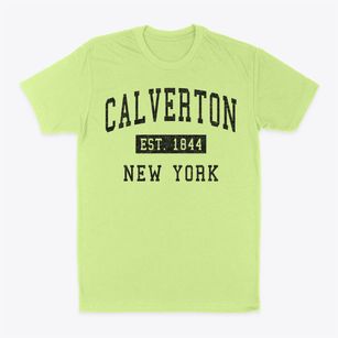 Calverton New York Classic Established Classic Dad T-Shirt