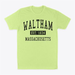 Waltham Massachusetts Classic Established Classic Dad T-Shirt