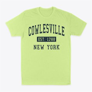 Cowlesville New York Classic Established Classic Dad T-Shirt