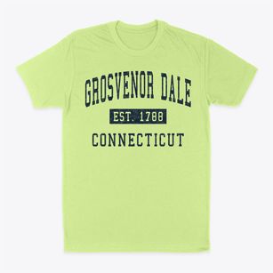 Grosvenor Dale Connecticut Classic Established Classic Dad T-Shirt