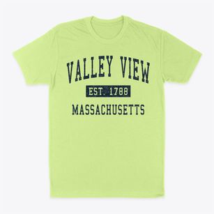 Valley View Massachusetts Classic Established Classic Dad T-Shirt