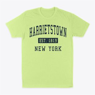 Harrietstown New York Classic Established Classic Dad T-Shirt