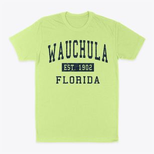 Wauchula Florida Classic Established Classic Dad T-Shirt
