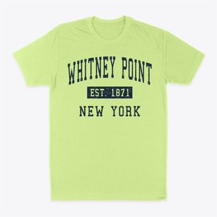 Whitney Point New York Classic Established Classic Dad T-Shirt